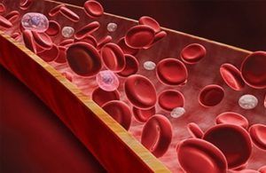 Взаимосвязь гемоглобина и тромбоцитов
